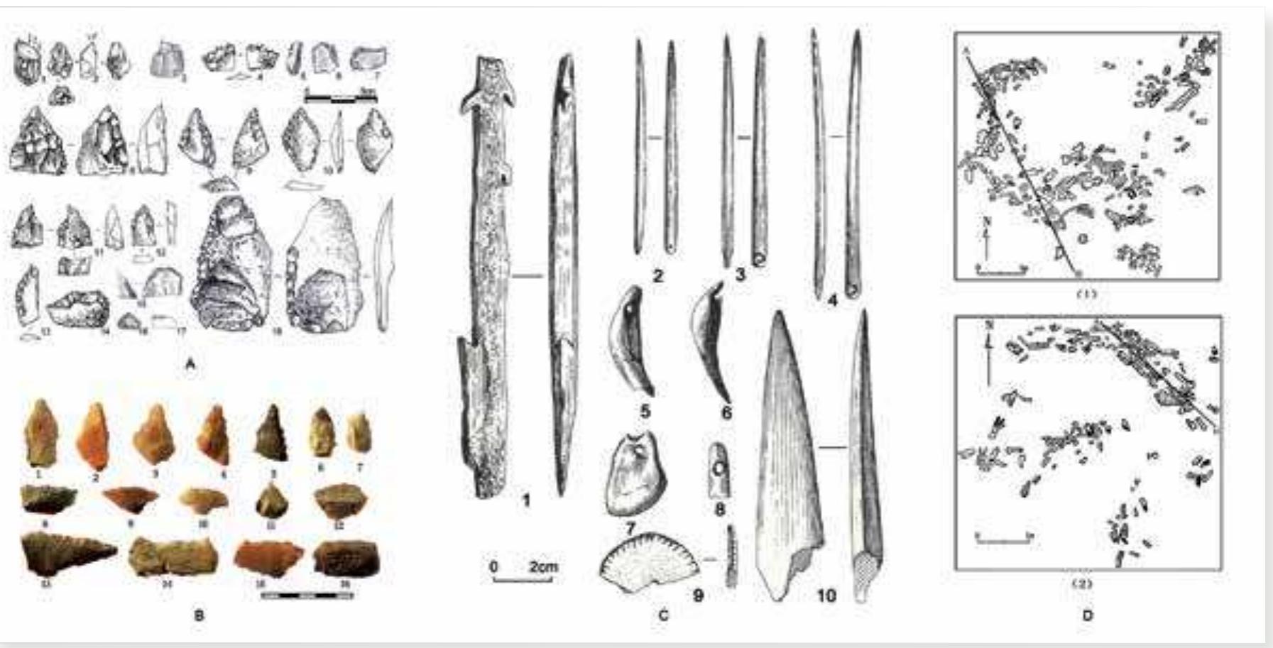 PDF) Out of Africa and the evolution of human populations in Asia