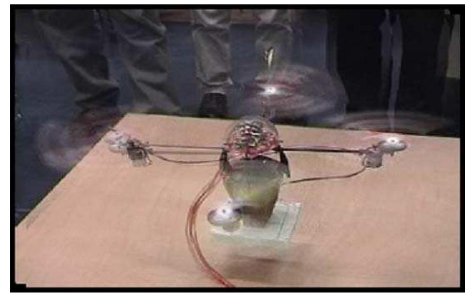 ヒルズ z/d 7.5kg PDF) Modelling_and_control_of_mini-flying_machines