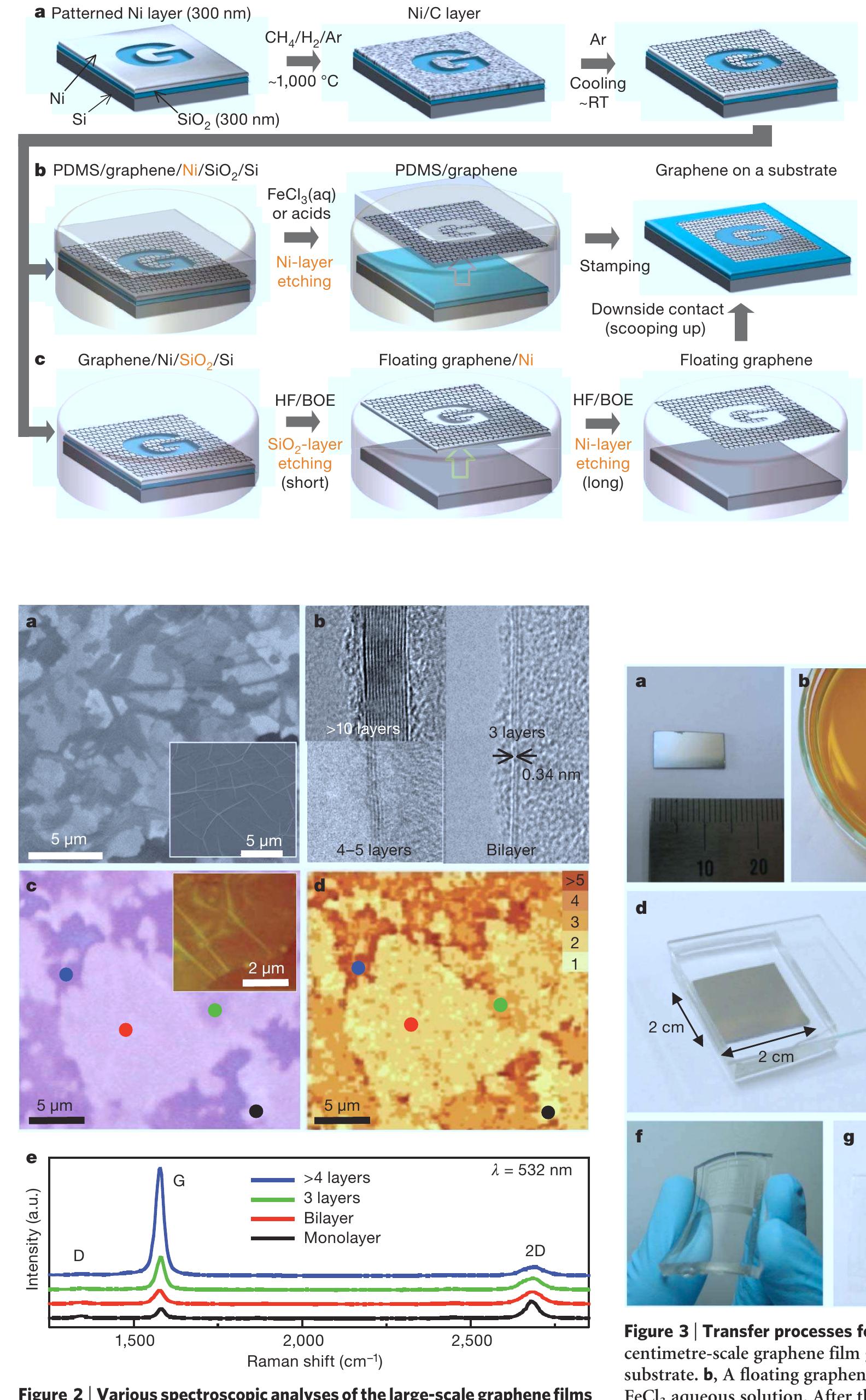 (PDF) Large-scale pattern growth of graphene films for stretchable ...
