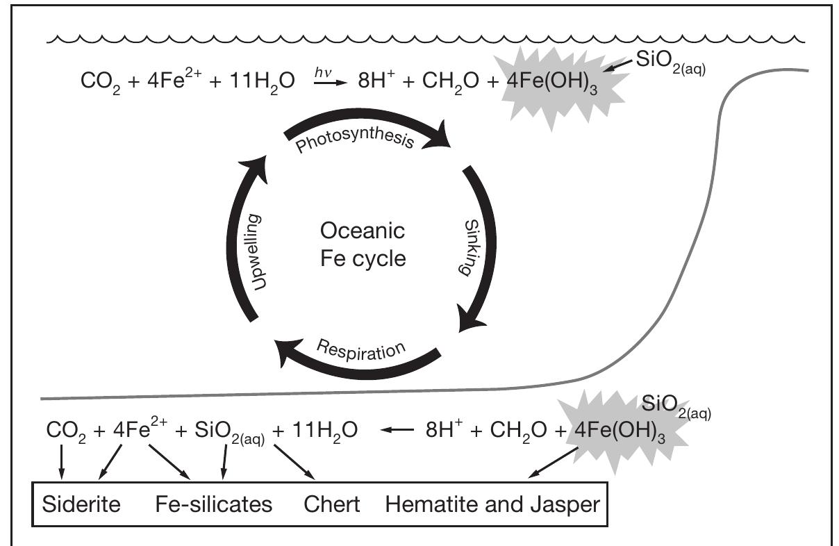 Conceptual model of late archean and earliest
