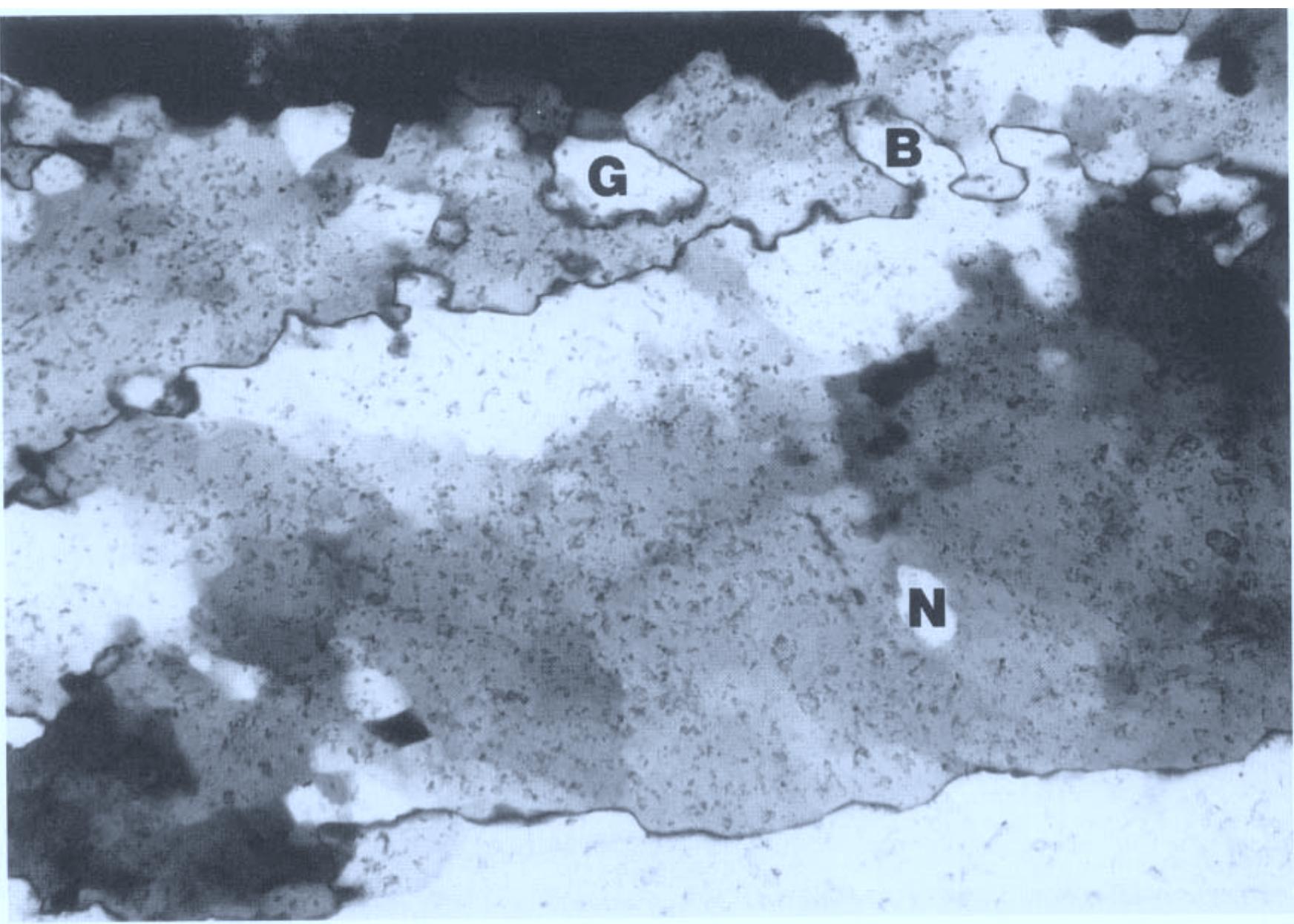 19, grain boundary migration and subgrain rotation. new