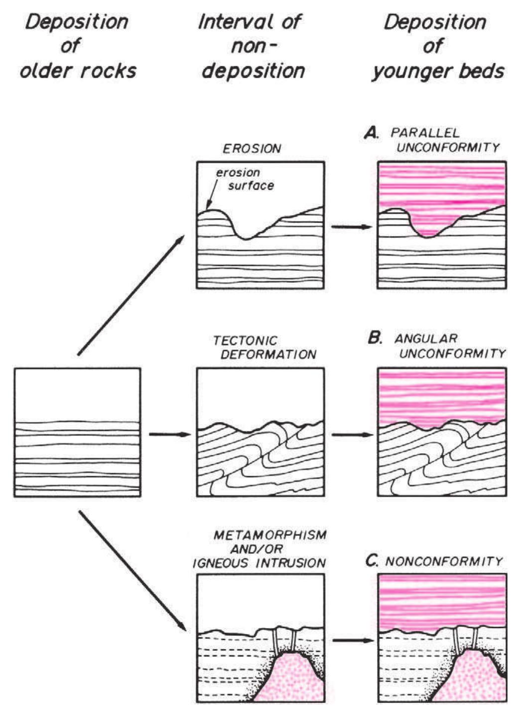 Sedientation Example Figure 116 - from Geological Structures and Maps