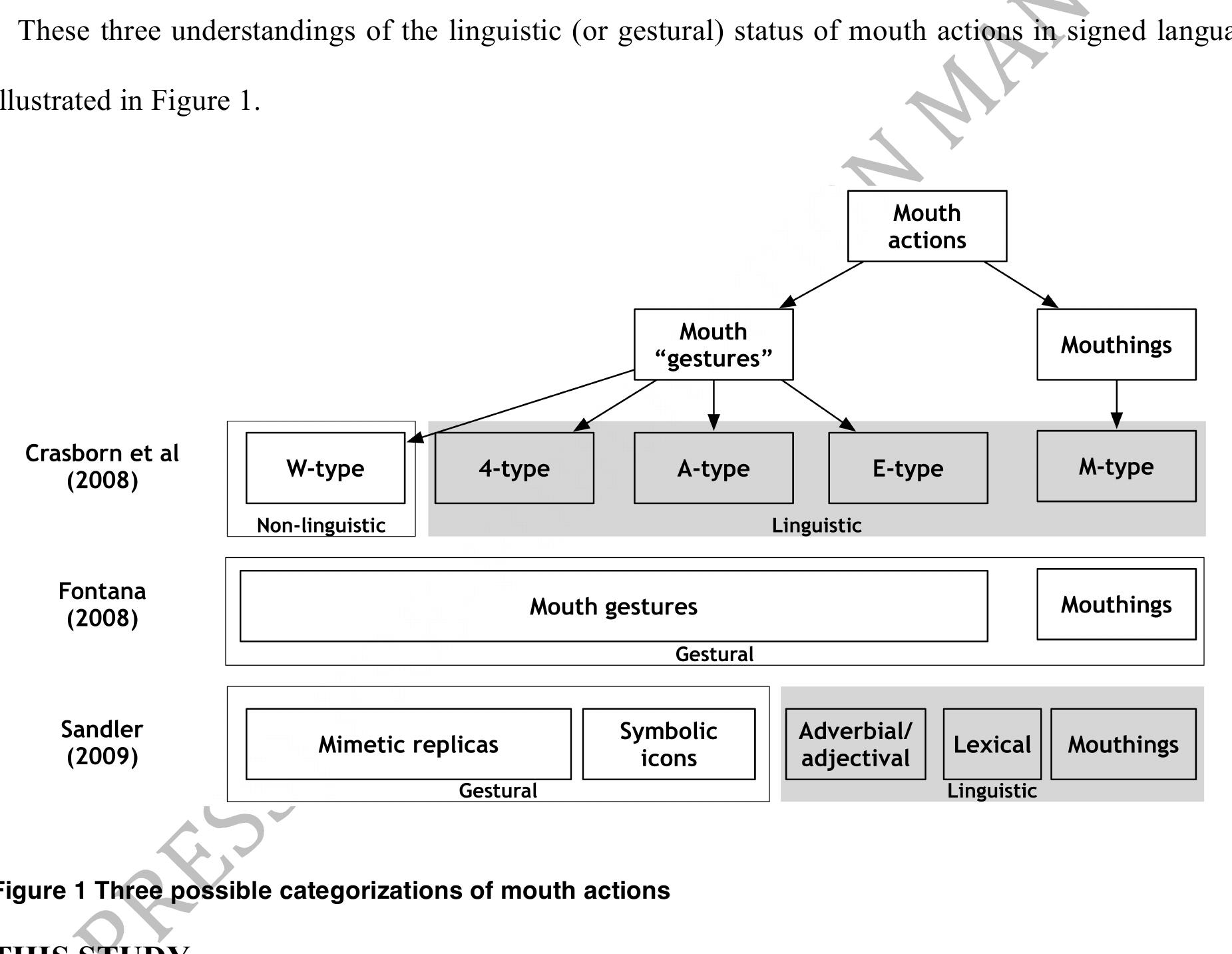 zes where possible—and describe their overall characteristics in order to test the language-specific  conventionalization of these actions.” 