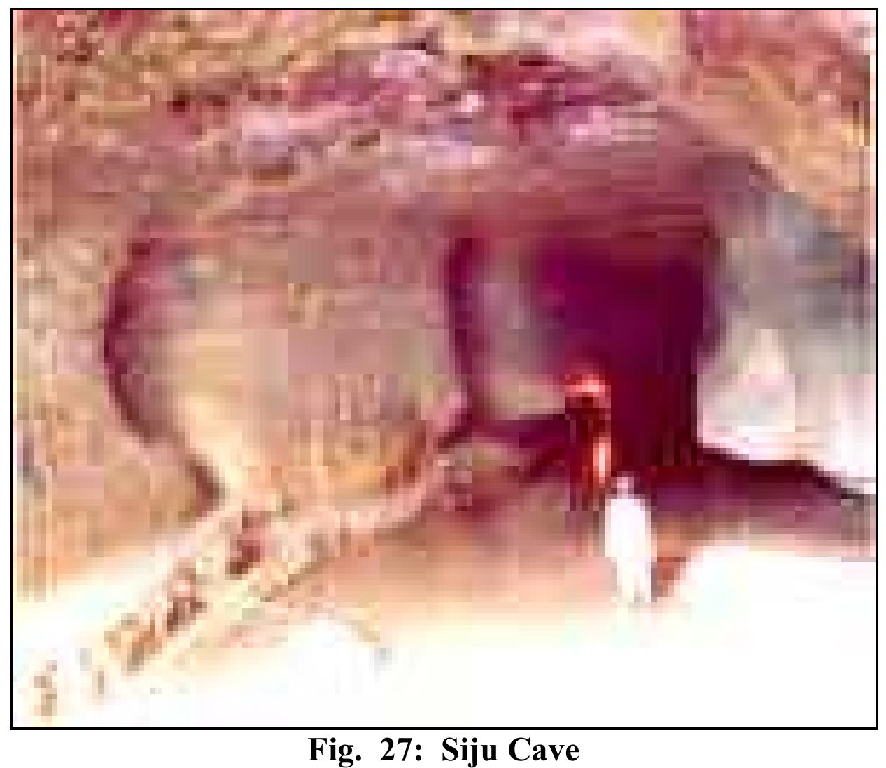 (PDF) Conservation Status of Hoolock Gibbon (Bunopithecus hoolock) in ...