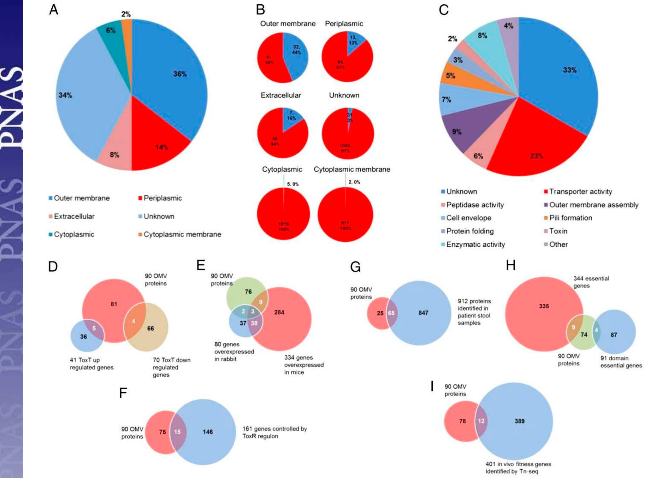 (PDF) Proteomic analysis of Vibrio cholerae outer membrane vesicles.