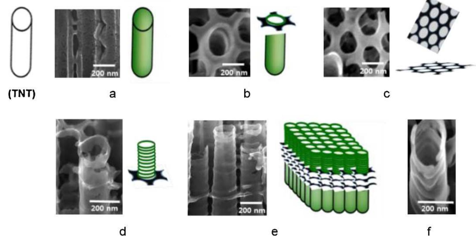 Sem images with schematics, illustrating tubular growth of