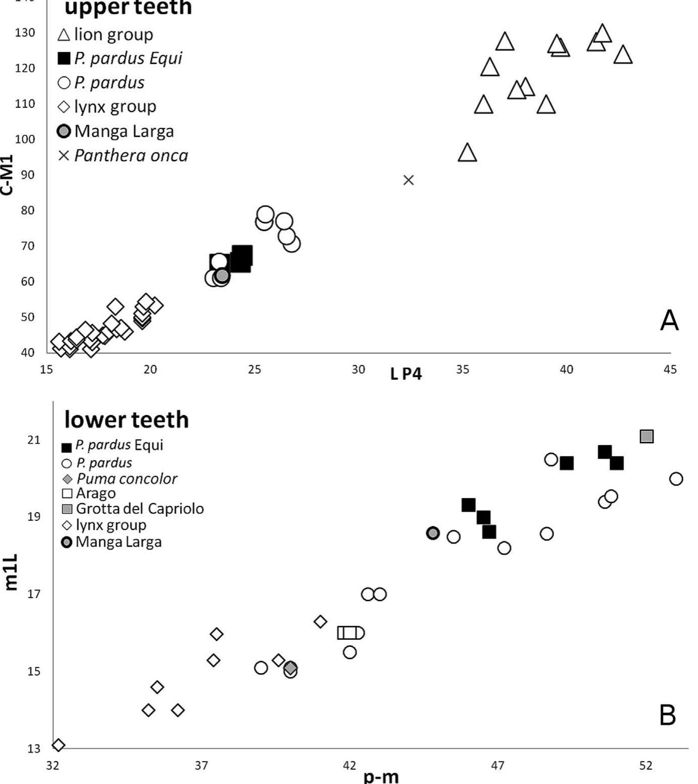 (PDF) The remarkable Panthera pardus (Felidae, Mammalia) record from ...