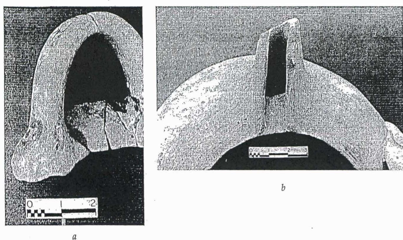 Neopalatial Figure 1 - from Ceramic Groups of Early Neopalatial Knossos