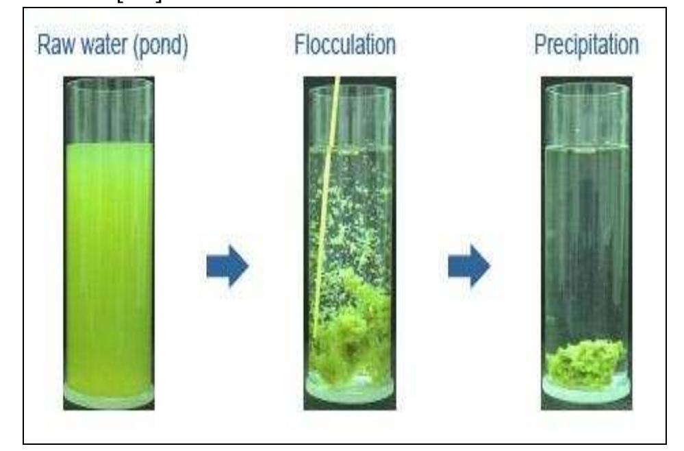 Basic steps of flocculation [14]