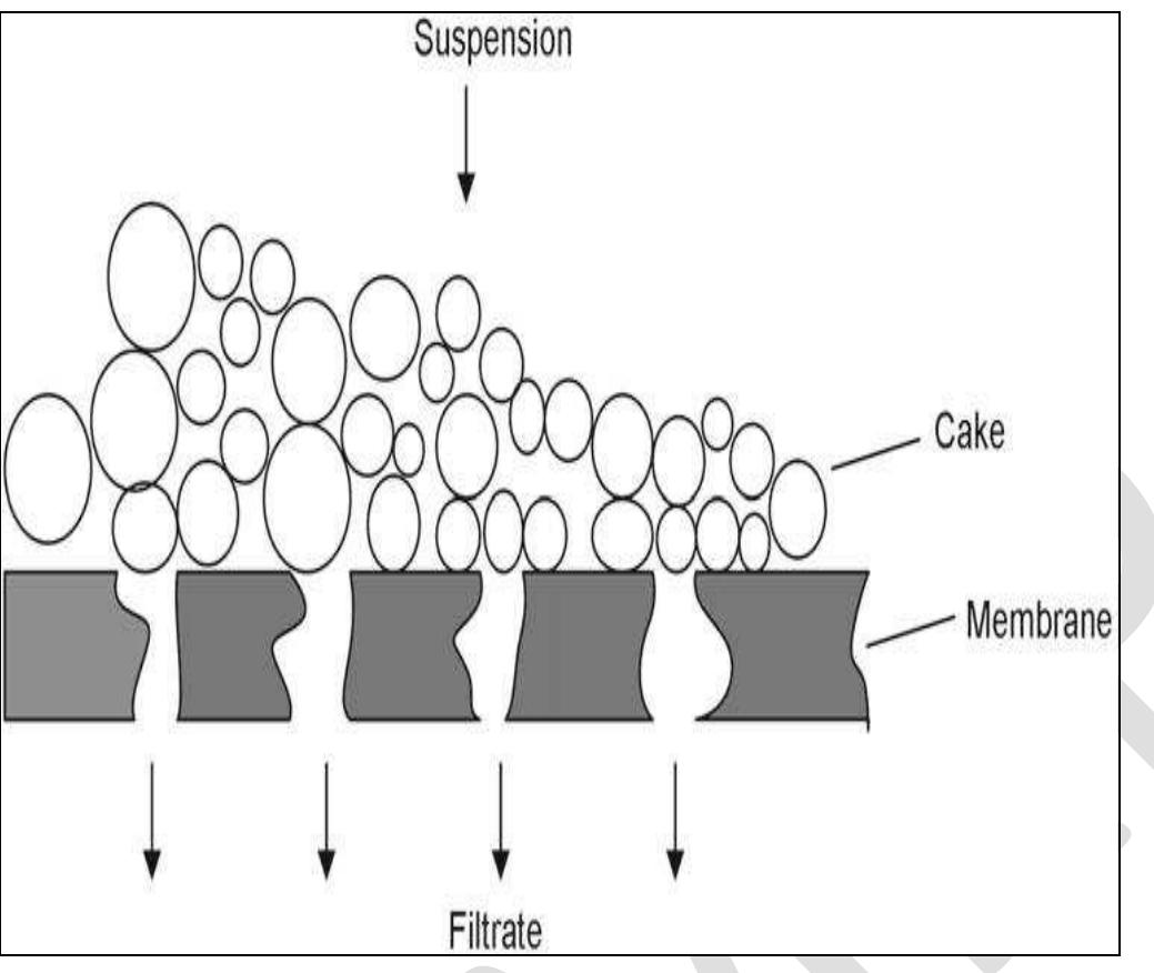 Mechanism of filtration process [19] filtration is a method
