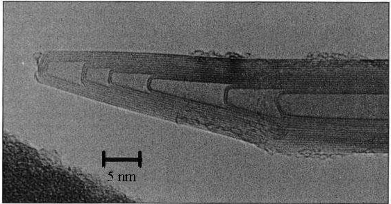 Figure 9 - from The wondrous world of carbon nanotubes "a