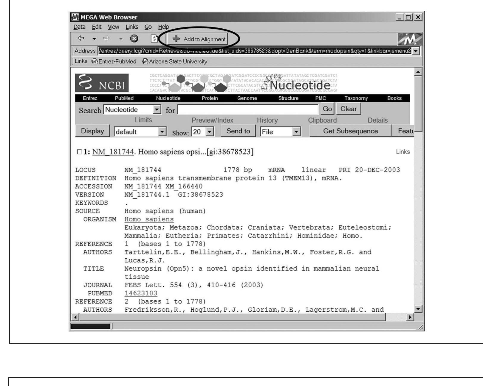 (PDF) MEGA3: Integrated software for Molecular Evolutionary Genetics ...