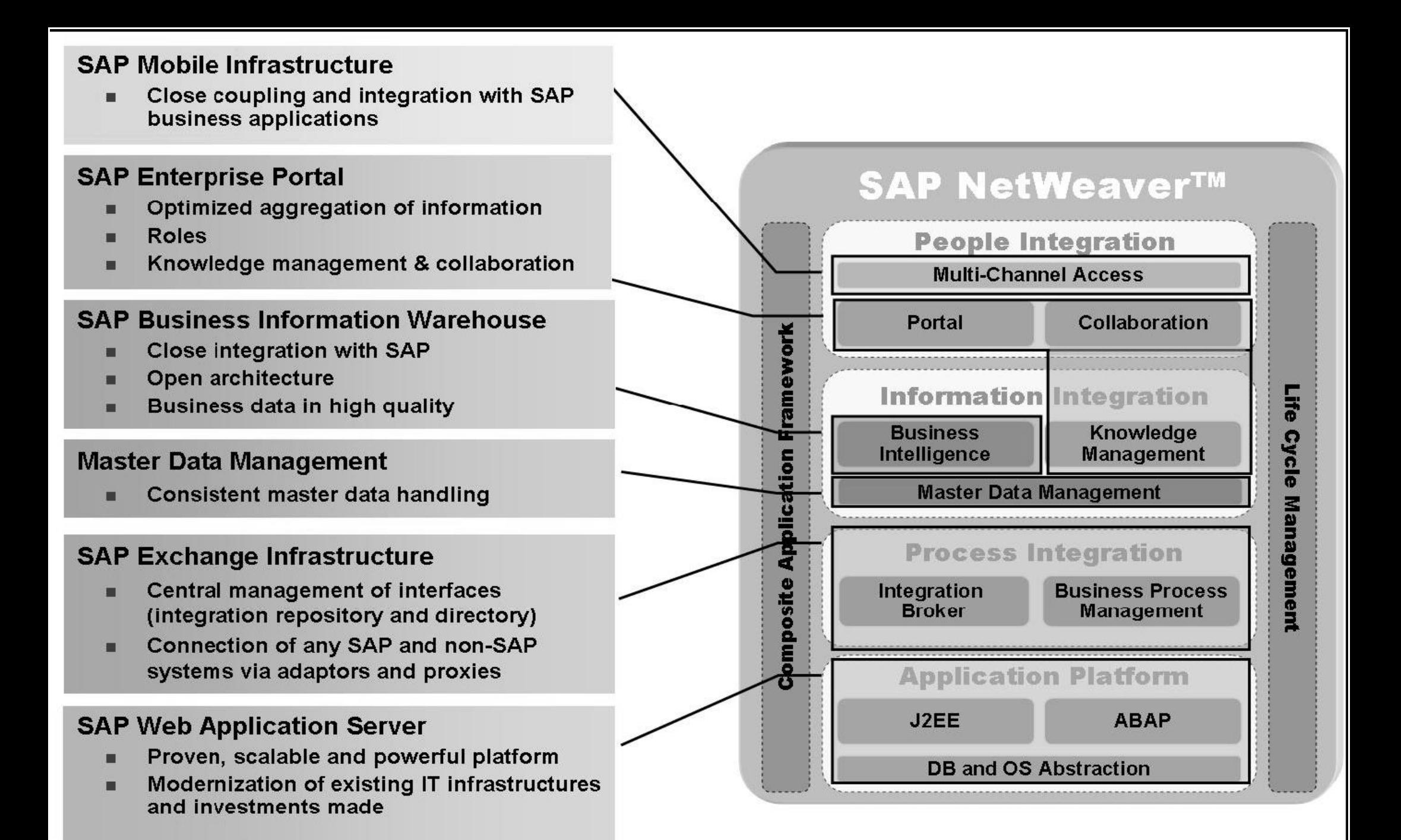 Figure 18 - Introduction to SAP and Basis Administration