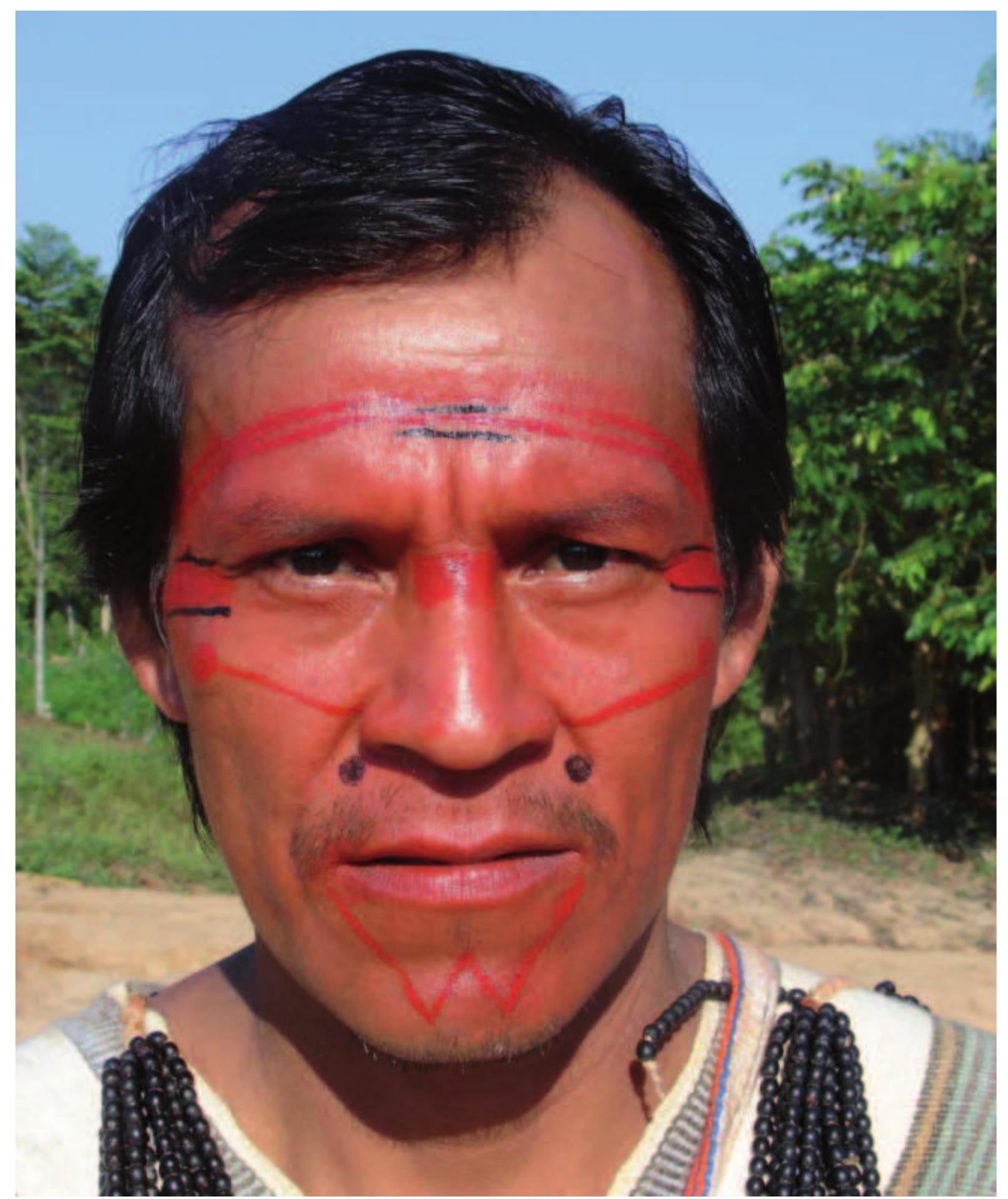 PDF) Ethnobotany of the Shipibo-Konibo