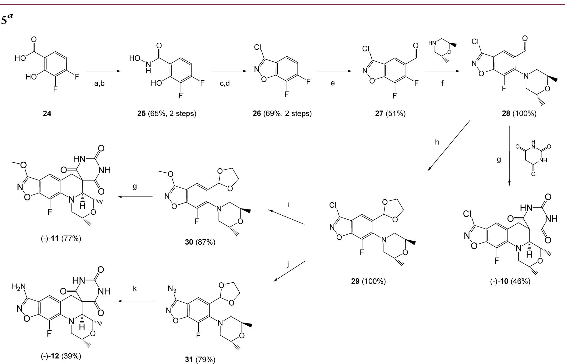 (PDF) Novel DNA Gyrase Inhibiting Spiropyrimidinetriones with a ...