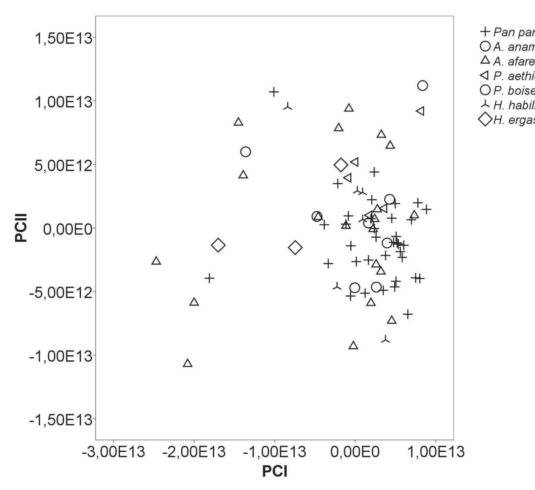 Figure 6 - from Primate cranial base: analysis of mid and