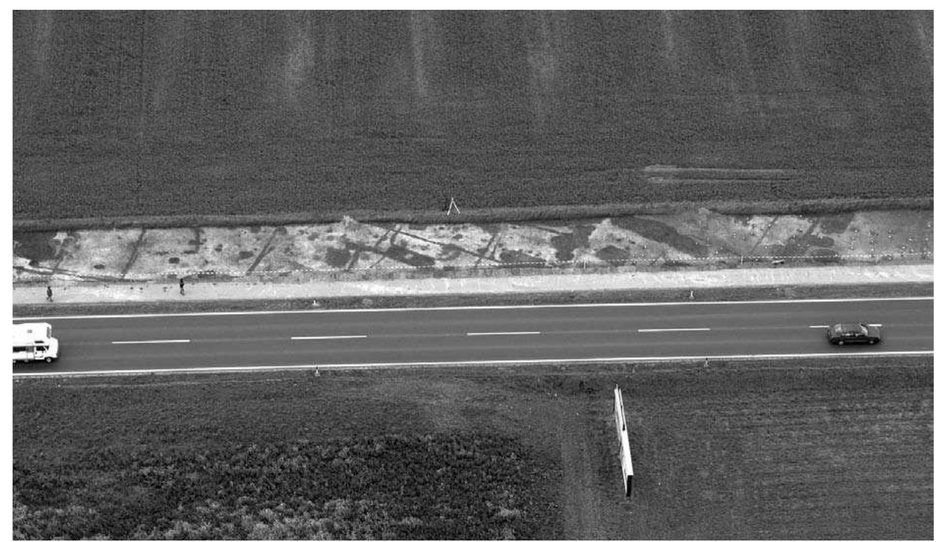 Fig. 3: Arial photo of rescue excavations in the large Late La Tene settlement of Neubau in 2005 (photo: Osterreichisches Bun- desheer). 