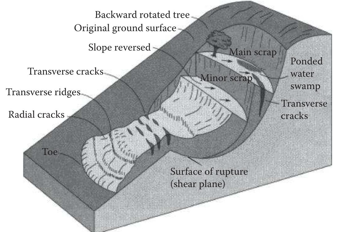 Scree Defined 3 nomenclature of various features of a landslide. (from