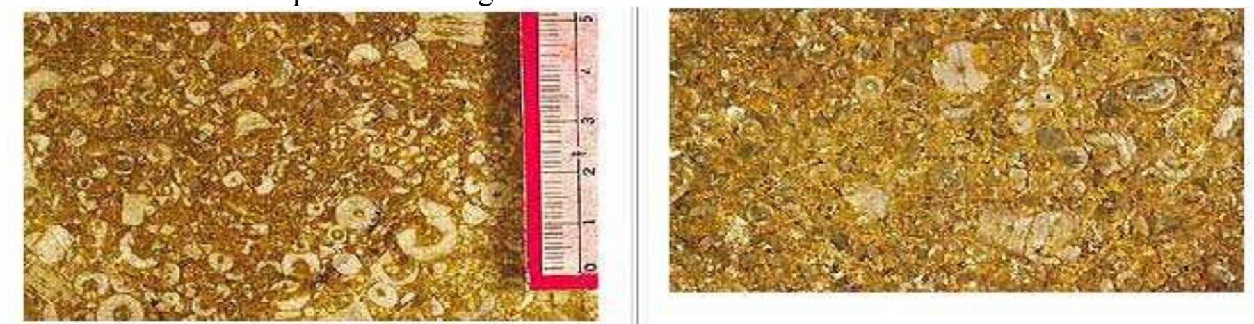 Geology of the United Arab Emirates