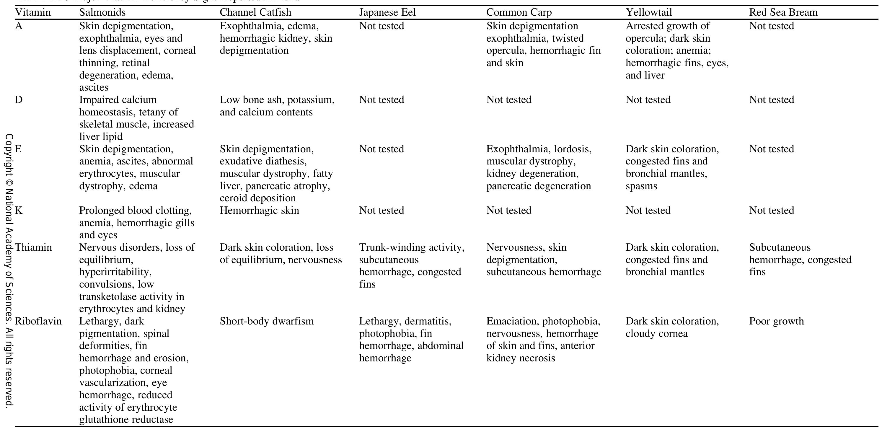 About this pdf file: this new digital representation of the