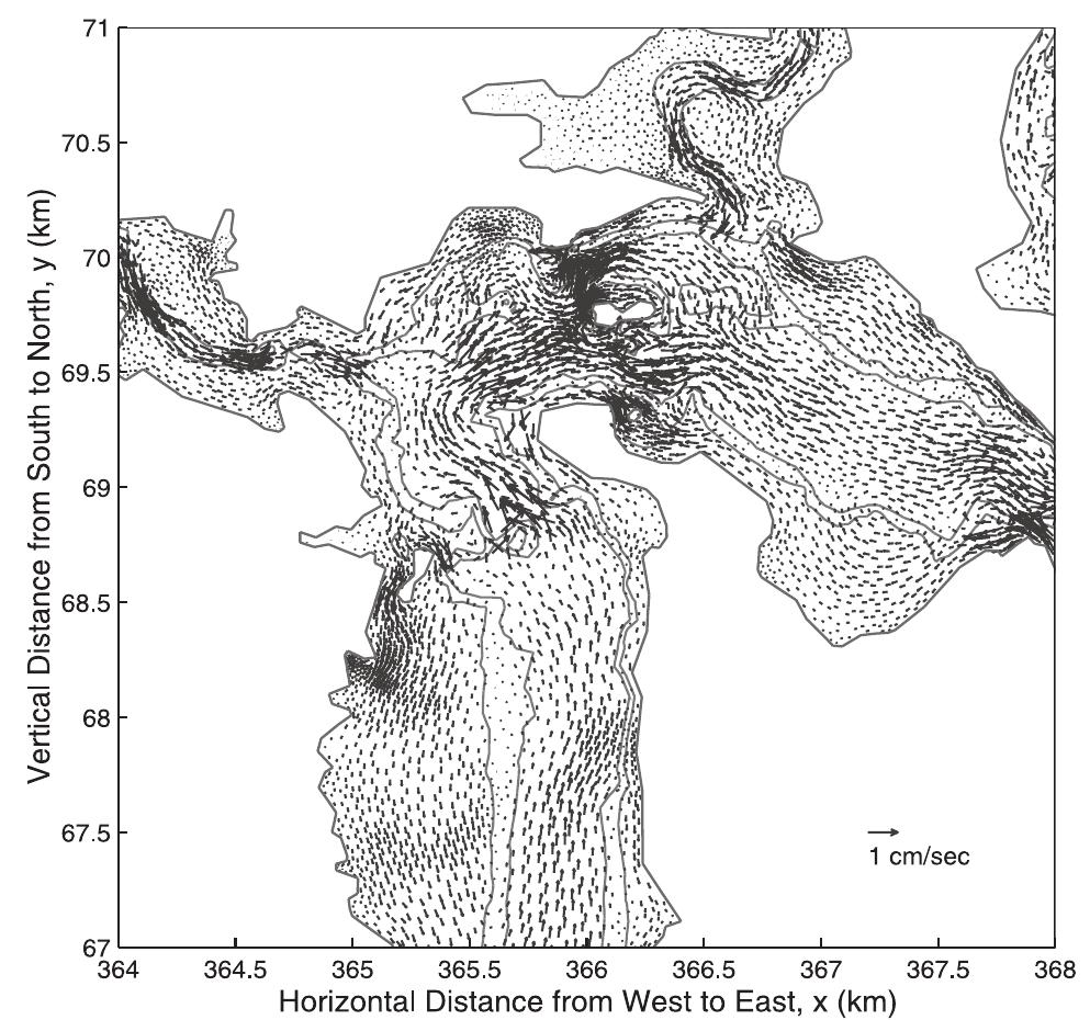 Figure 8. Residual M, velocity in Little Bay. The inner isoline is the 7 m isobath, and the outer is the 3 m isobath. See color version of this figure at back of this issue. 