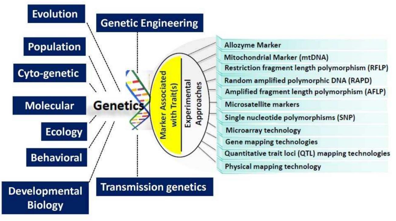 A schematic diagram shows the links of genetics and