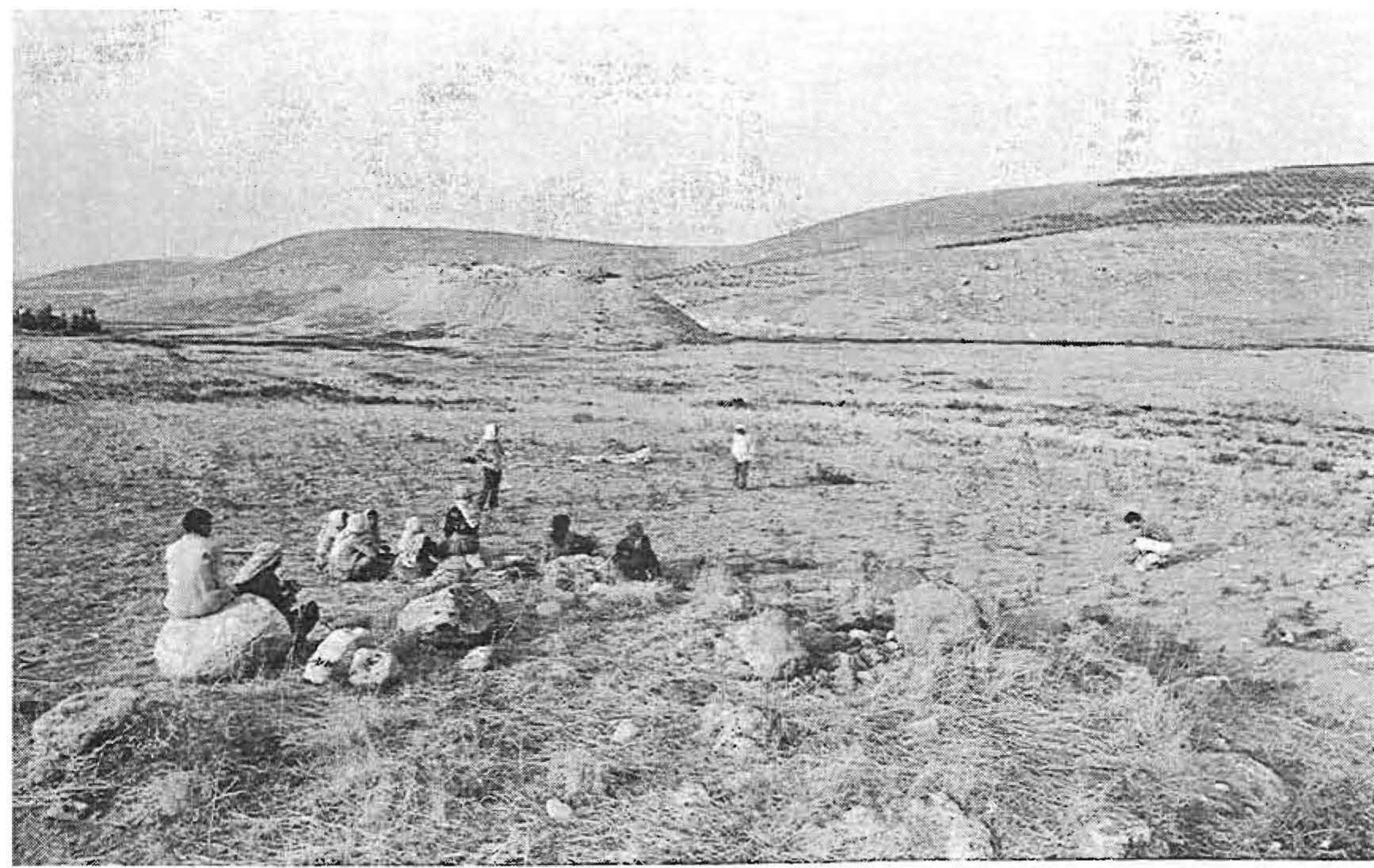 PDF) The Iron Age Settlement at 