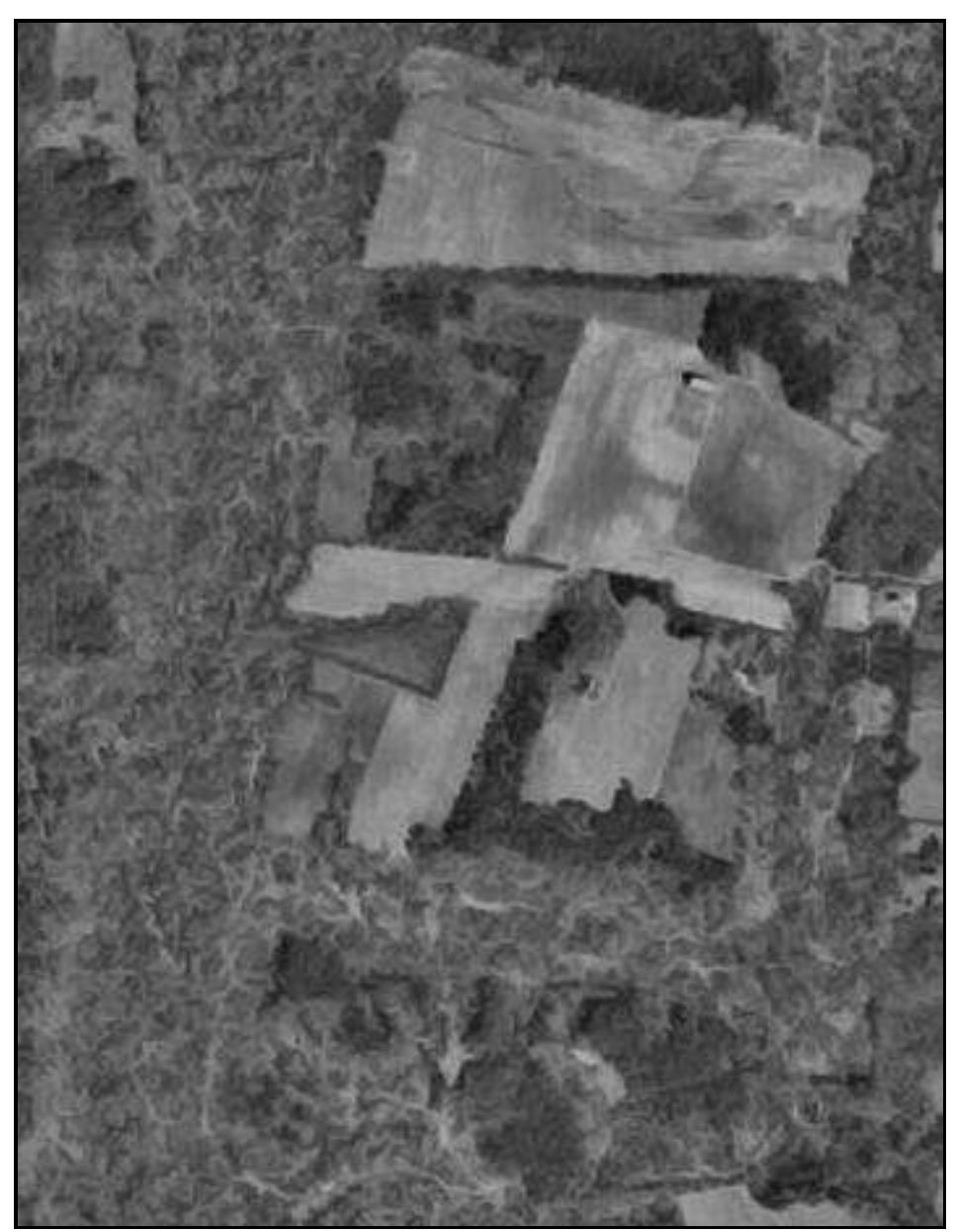 Figure 10. 1963 USDA aerial photograph of the Windy Knolls property. Notice that most of the slopes are plowed, along with the two barns (Courtesy USDA SCS). 