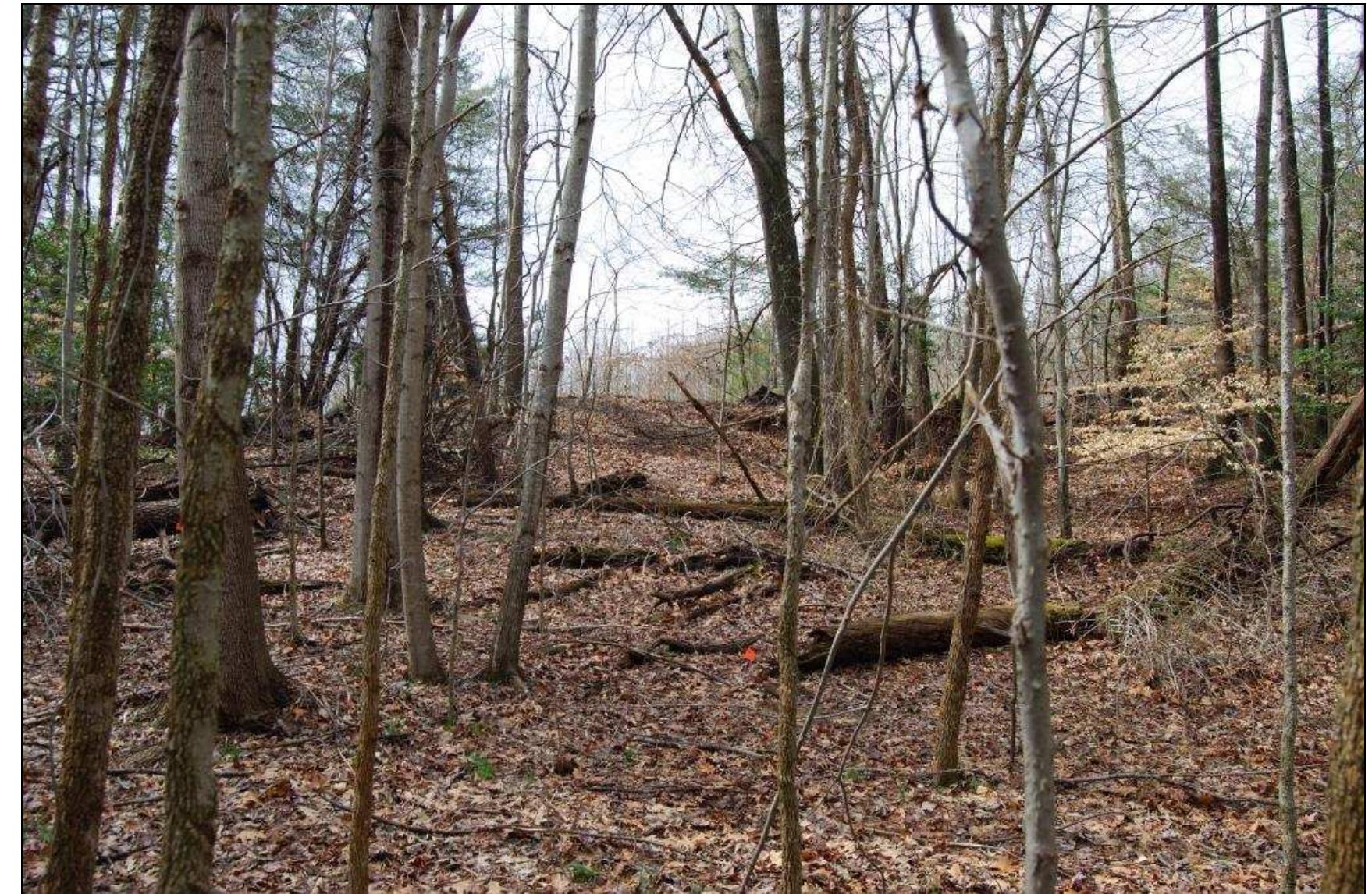 Figure 12. Northeast face of south knoll, Windy Knolls property. 
