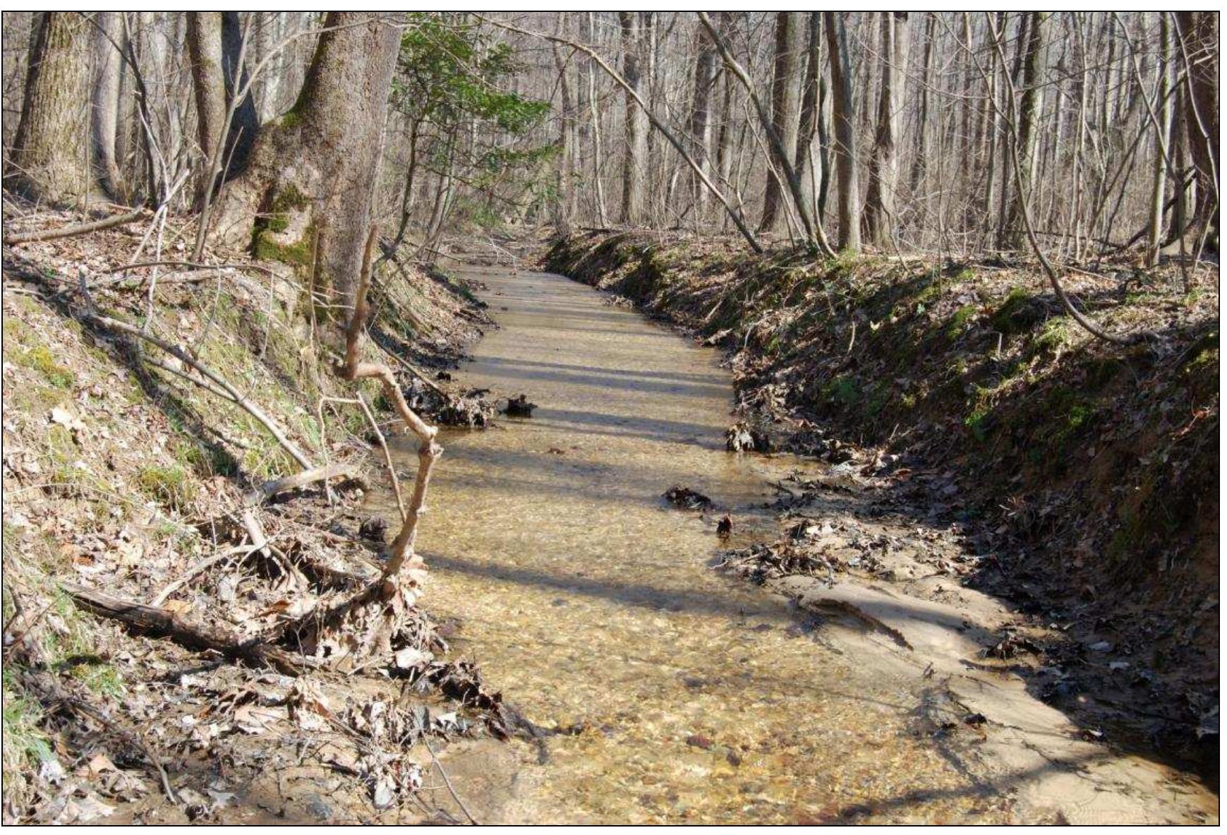 Figure 13. Unnamed tributary along base of the south knoll, Windy Knolls property. 