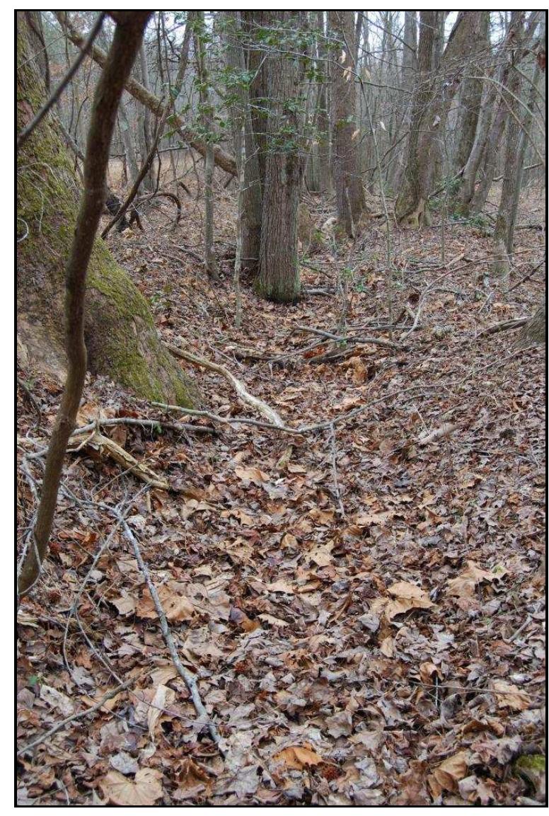 Figure 16. Man-made ditch, Wind) Knolls property. 