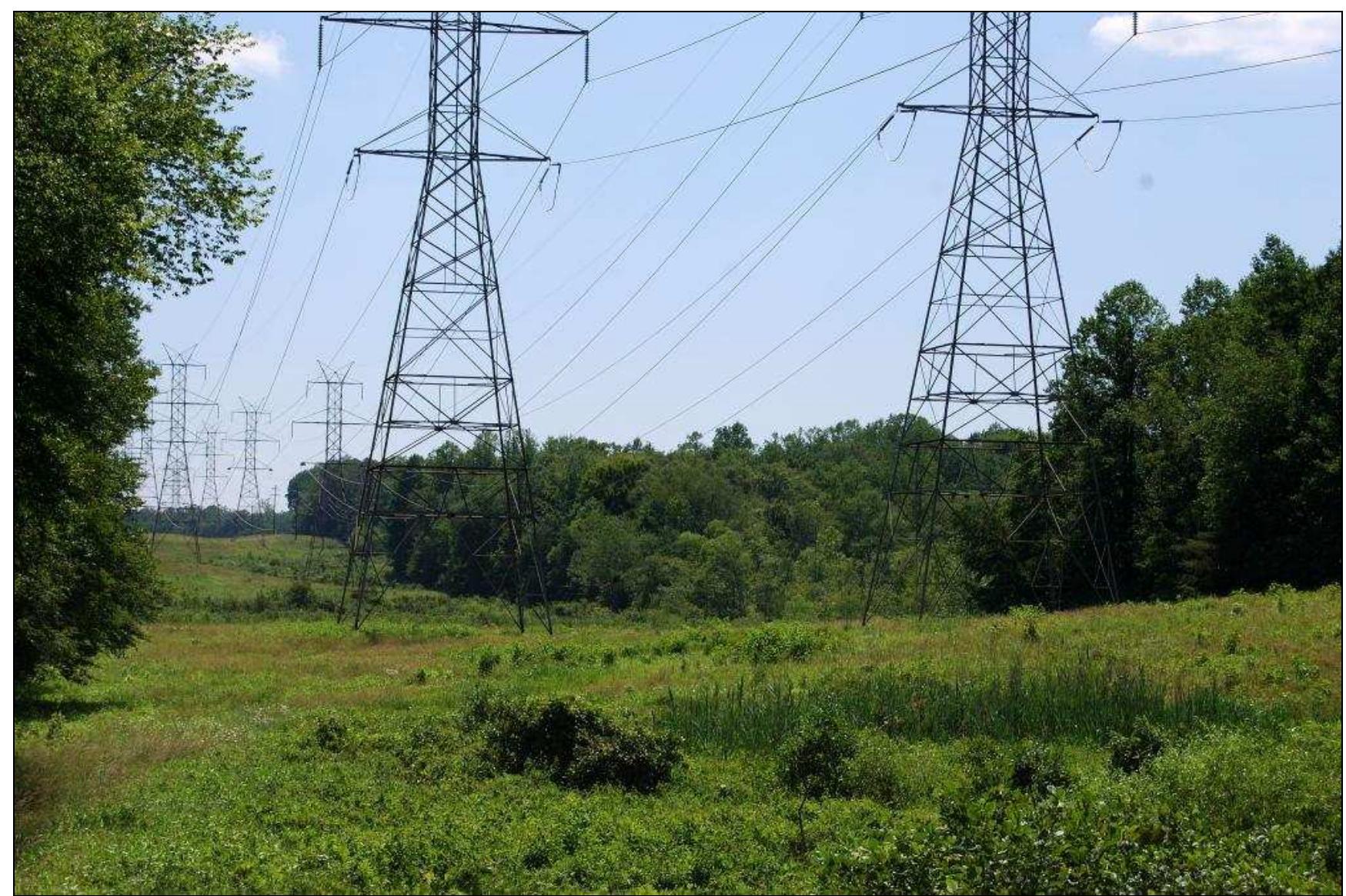 Figure 29. Power;ines, the Jordan Swamp I site. 