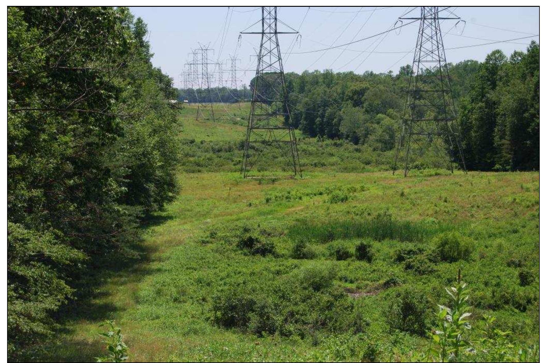 Figure 30. View of Maryland Route 5 from the Jordan Swamp I site. 