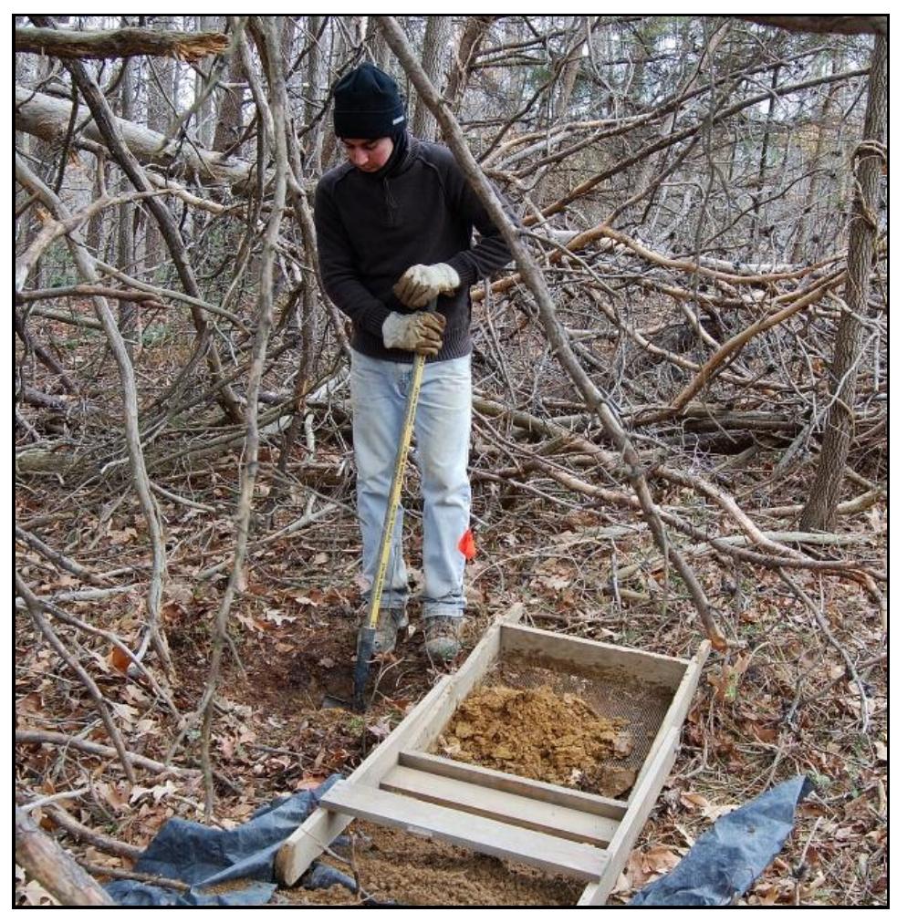 For all four properties discussed in this report, including Windy Knolls, Steffens, Hogue, and St. Peter’s Church, we used a shovel testing strategy for locating and identifying areas of archaeological significance. This is the method we have consistently used since our initial work in the region beginning in 2008 (King, Strickland, and Norris 2008; King and Strickland 2009a, b; Strickland and King 2011). Although shovel testing can be “labor intensive” (Lightfoot 1986:484), especially when compared with pedestrian survey, in areas where ground visibility is limited or where buried deposits exist, shovel testing provides the best and most efficient means for recovering sub-surface information (see also Lightfoot 1989). Further, because all of our project areas include a mix of agricultural fields and wooded lots, and because most farmers and other land managers today avoid wide-scale plowing as part of best management farm practices, we early on instituted a program of systematic shovel testing as the strategy best suited for locating archaeological sites.  Figure 34. Excavating a shovel test. 