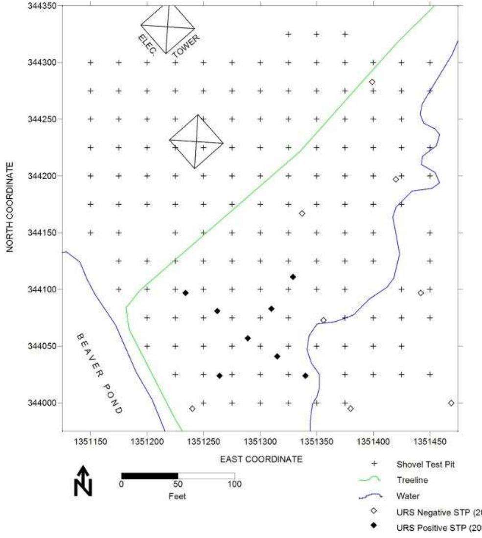 Figure 38. Location of shovel tests at the St. Peter’s Catholic Church/Jordan Swamp I property. 