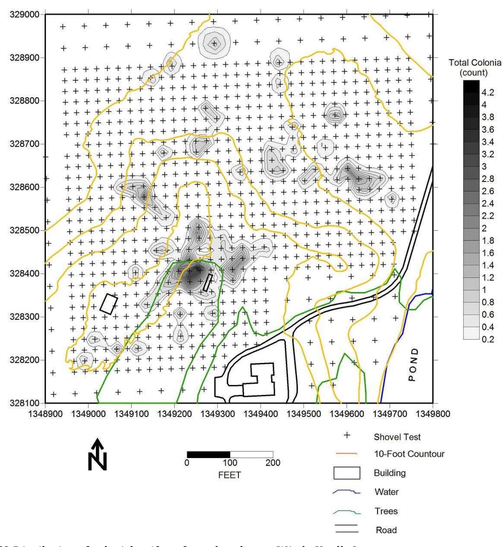Acknowledging that these counts are small (as shovel test data often is), these distributions nonetheless demonstrate the presence of a fairly intensive occupation dating to the second half of the 17" century. The site’s topography, including its defensible location, nearby source of potable water, relatively productive agricultural soils, location on Zekiah Manor, and the types of artifacts recovered all point to Windy Knolls I as the Zekiah Fort. Given the ambiguity of the documents, however, and the possibility that “Zekiah Town” (mentioned by Dennis Husculah in 1682) and “Zekiah Fort” were two different settlements (an issue we retum to in the conclusion), we made the decision to undertake additional testing at the site with larger, five-by-five-foot units placed in areas of artifact concentration. Not only would we increase our artifact sample (dramatically so, as it turns out), we hoped to identify and document sub-plow zone features at the site. We were especially interested in identifying archaeological traces of any fortifications at the settlement. 