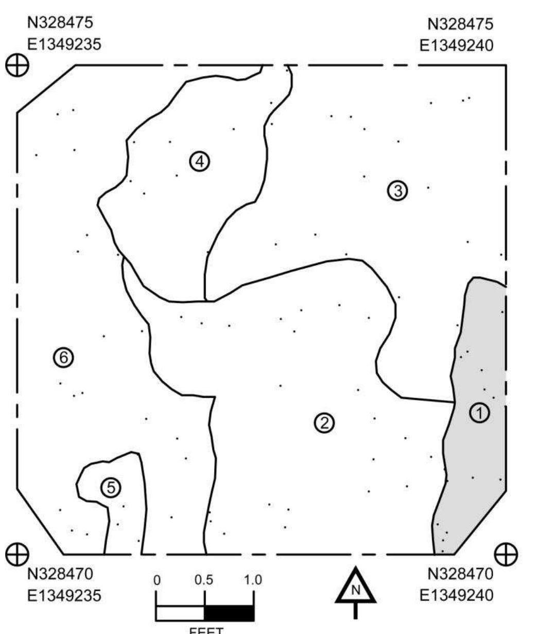 Figure 66. Plan view of Test Unit 470235, Windy Knolls I.  Two test units (Test Units 575110 and 575120) were excavated on the northwest slope of the knoll, just west of the old farm road ascending the knoll. Although this area is not level with a noticeable slope, shovel tests excavated in this area had generated a number of artifacts. The plow zone from the two units ranged from brown to dark yellowish brown silty sandy loam with large amounts of gravel. The plow zone ranged in thickness from 0.7 foot on the east side of Test Unit 575120 to 1.19 feet on its west side and 1.28 feet in depth on the east side of Test Unit 575110 to deeper on the west side. What may be a modern post hole and mold was found in Test Unit 575110; no other features were observed in either unit.  Two units, Test Units 620625 and 645600, were excavated at the base of the knoll on its northeas side, and both units were considerably deeper than the units at the top of the knoll. Both contained « modern plow zone overlying an early plow zone. The modem plow zone in both units consists of yellowish brown sandy loam mixed with about 20 percent gravel. This plow zone measures 0.8 to 0.9" foot in thickness. The early plow zone consists of a dark yellowish brown sandy loam mottled with five to ten percent yellowish brown sandy loam. The early plow zone in Test Unit 620625 was approximatel; one foot in thickness, while the early plow zone in Test Unit 645600 averaged about 0.6 foot in thickness The early plow zone in Test Unit 645600 also contained a moderate amount of gravel. The modem plov zone in Test Unit 620625 contained only eight artifacts, while the early plow zone yielded eight times tha number, supporting our interpretation based on the shovel test evidence that the early plow zone contain: the original site midden. Test Unit 645600, however, was the opposite, with the bulk of the artifacts (31. in the top layer; the early plow zone contained only twelve artifacts. 