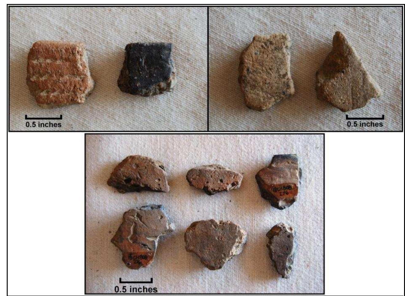 Figure 69. Selected Native ceramics from test units, Windy Knolls I; top row: Potomac Creek rim, cord-marked (Lot 279); Potomac Creek rim, plain (Lot 276); Moyaone body fragment, plain (Lot 238); Moyaone body fragment, plain (Lot 243); second row: shell-tempered body fragments, plain (Lot 276); third row: shell-tempered body fragments, plain (Lot 276). 