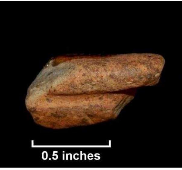 Figure 70. Possible Colonoware from test units, Windy Knolls 1; possible rim fragment (Lot 304). 