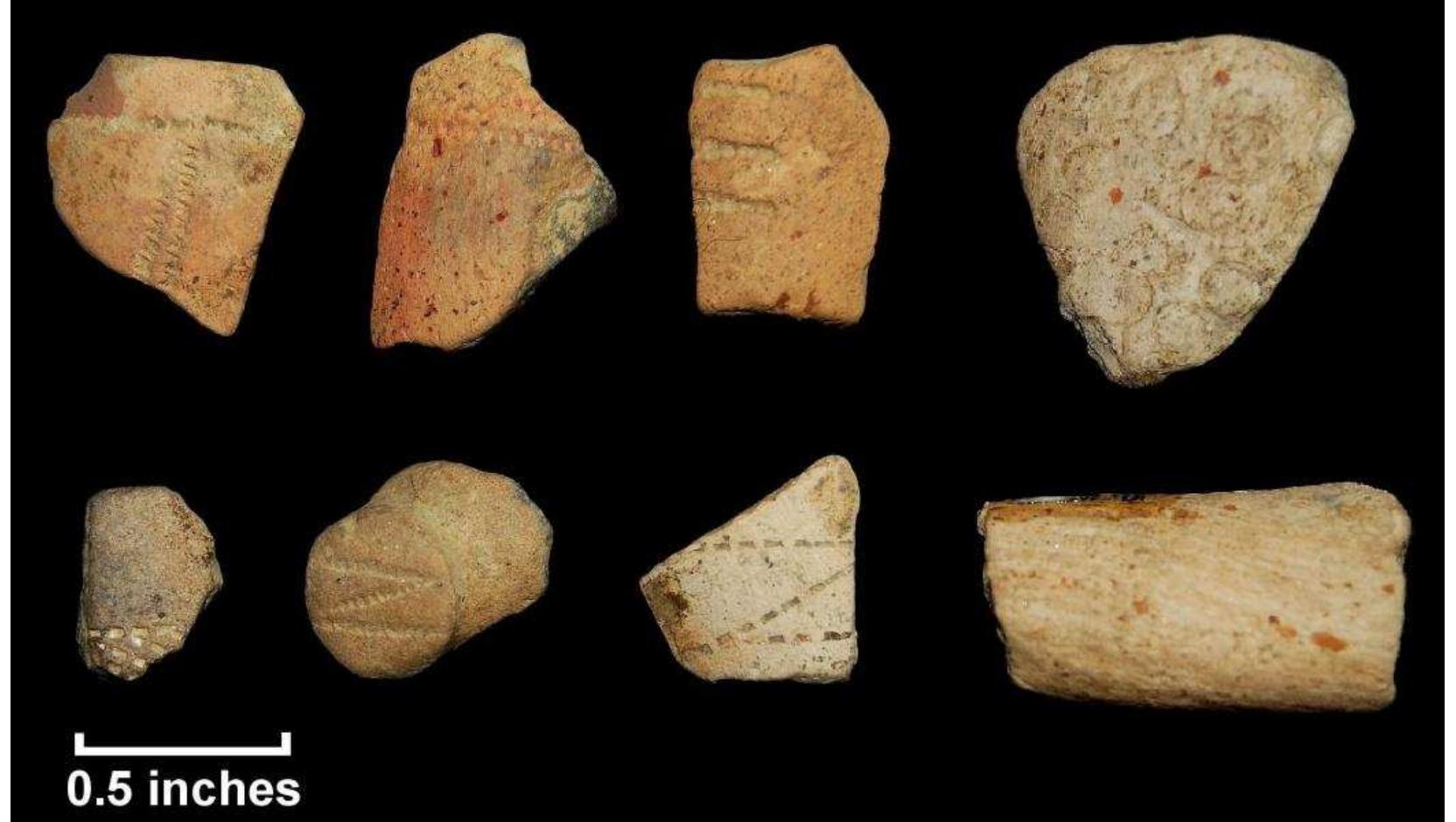 Figure 72. Red clay tobacco pipes from test units, Windy Knolls I; top row, I-r: rim fragment with rouletting around the rim and unidentified rouletted decoration (Lot 253); rouletted rim fragment; bowl fragment with rouletted decoration (Lot 244); bowl fragment with hollow-reed impressed decoration (Lot 246); bottom row, I-r: rim and bowl fragment with rouletted decoration with white infill (Lot 254); European-style heel with rouletted “Z” or “N” design (Lot 241); bowl fragment with rouletting (Lot 251); “agatized” stem fragment (Lot 256).  The 34 decorated red clay tobacco pipe fragments) depict predominately rouletted designs although, in most cases, fragments are too small to suggest a specific motif, such as the classic running deer (Figure 72). Single and double banded rim rouletting is common as well as unidentified diagonal dentate rouletting. Only one red clay fragment appears to have been incised, although the possible motif is unidentified. A serrated fossil shark’s tooth found at the site may have been used to create rouletting on pipes during the manufacturing process (Figure 73) (Potter 1993:226, 228). No evidence of wasters generated during the tobacco pipe manufacturing process were recovered from Windy Knolls I, however, suggesting that this shark’s  mMOSeA. 