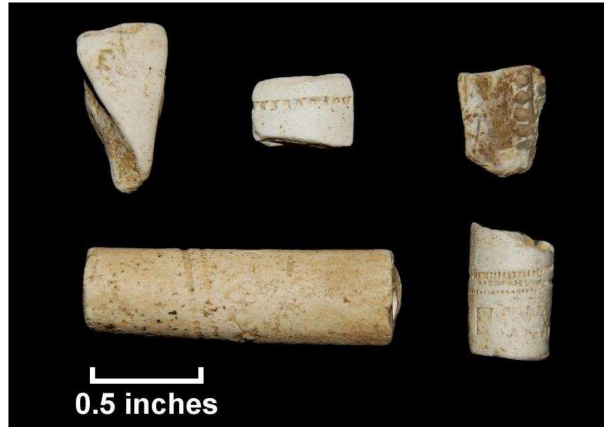 Figure 74. White clay tobacco pipes from test units, Windy Knolls I; top row, |-r: bowl fragment with incuse serif letter “E,” probably Llewellin Evans (Lot 239; rim fragment with rouletting; bowl fragment with stem-and-leaf motif, possibly Dutch (Lot 258); stem fragment with Bristol-style rouletting (Lot 276); bottom row, I-r: stem fragment with Bristol-style rouletting and maker’s mark, “IS,” probably John Sinderling (Lot 244).  Figure 74. White clay tobacco pipes from test units, Windy Knolls I; 