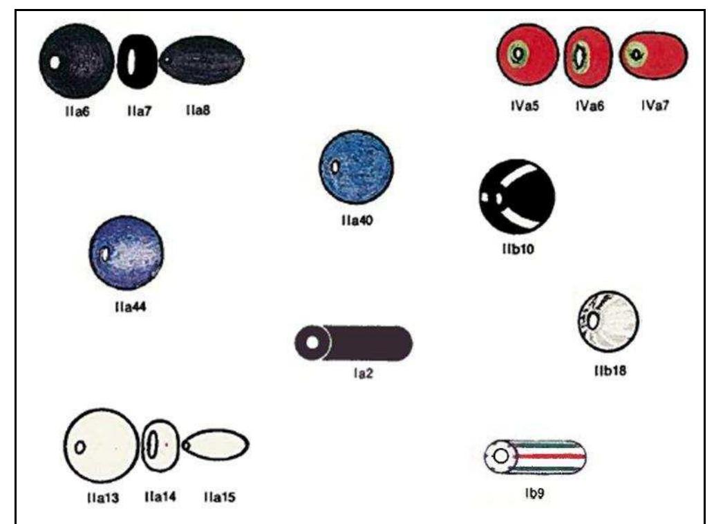 Figure 78. Glass bead types from Windy Knolls I using Kidd and Kidd typology. 