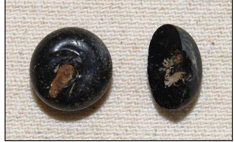 Figure 80. Glass buttons from test units, Windy Knolls I (left: Lot 245; right: Lot 243. 
