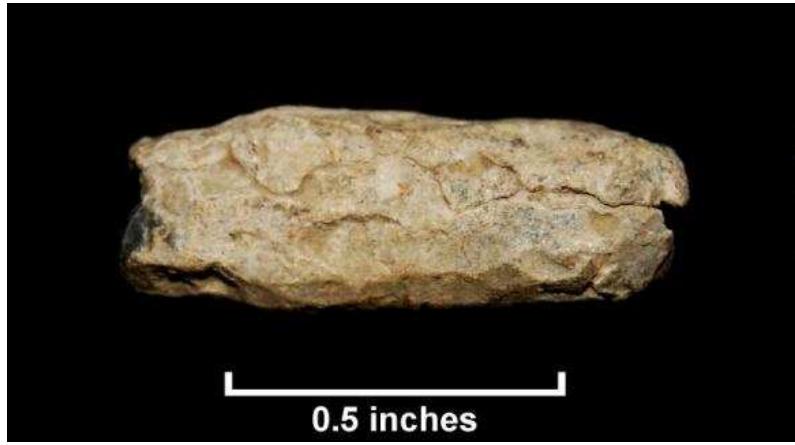 Figure 84. Possible lead net-sinker from test units Windy Knolls I (Lot 245).  A few examples of lead shot appear to have been worked or altered in different ways. Two pieces of shot, for instance, have V-shaped cuts. The function of these objects is unclear, but they may have functioned as net sinkers. Additionally, another piece of shot was compressed and partially flattened. 