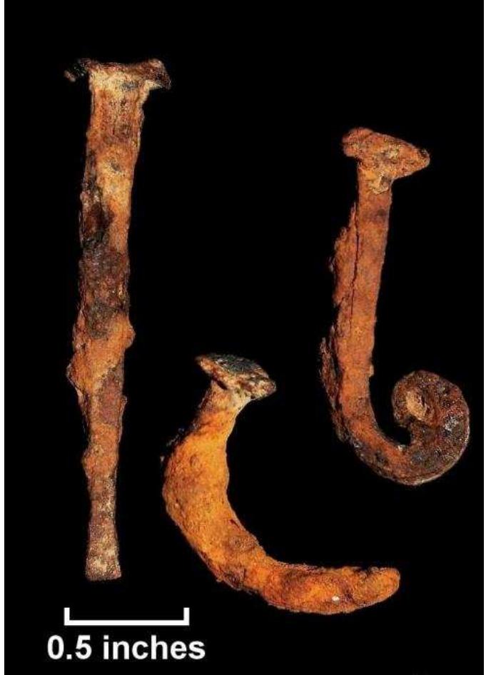 Figure 87. Iron nails from test units, Windy Knolls I.  Nails formed the largest category of iron artifact recovered. Two possible iron knives and a gur trigger were also recovered in addition to an unidentified square-bodied “‘s-shaped” iron fragment whicl may have functioned as a handle. 