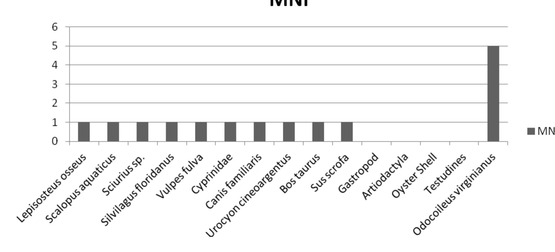 Figure 95. MNI for bones identified below class, Windy Knolls I. 