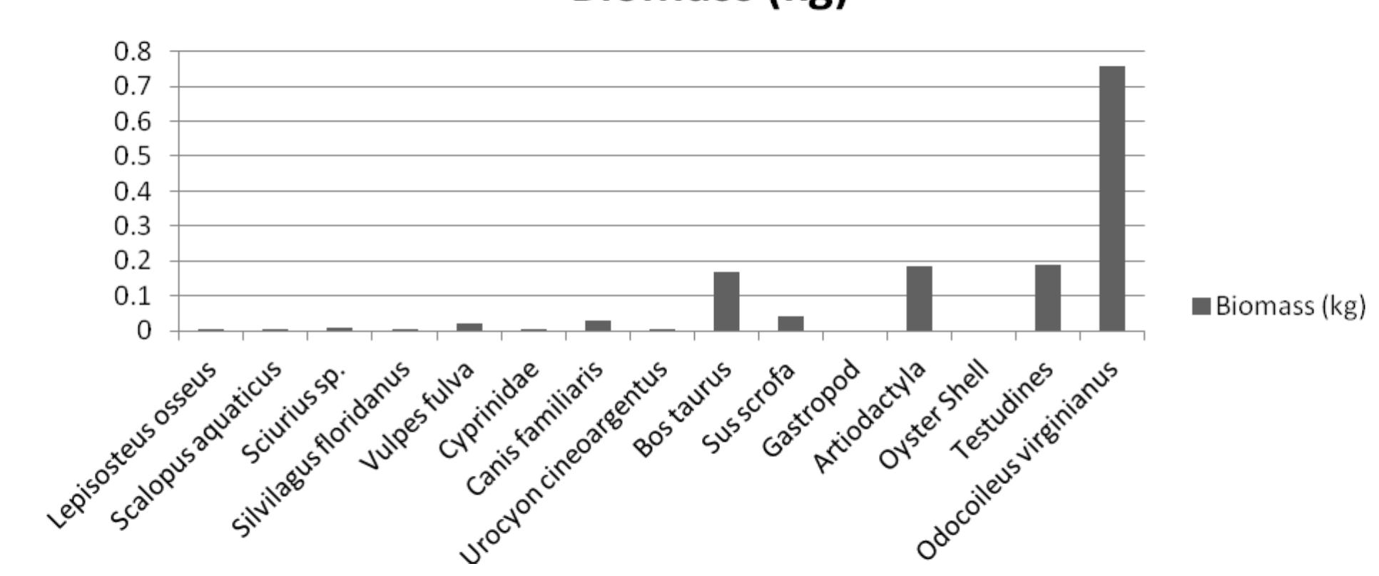 Figure 96. Biomass for bones identified below class, Windy Knolls I. 