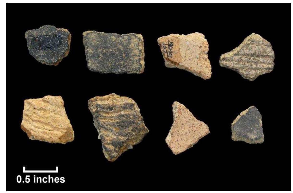 Figure 102. Native ceramics recovered from shovel tests, Hogue property; top row: all Potomac Creek; bottom row: unidentified  FT , i ee  Fourteen ceramic fragments were recovered from the Hogue property during shovel testing, including one Pope’s Creek, ten Potomac Creek, and three unidentified fragments (Figure 102). Pope’s Creek, a sand-tempered ware often found with a cord-marked exterior, dates to the Early Woodland (1000 BC-200 AD). In the Potomac and Patuxent drainages, Pope’s Creek ceramics have been more tightly radiocarbon-dated to between 500 BC and 50 BC (Curry and Kavanagh 1994). 