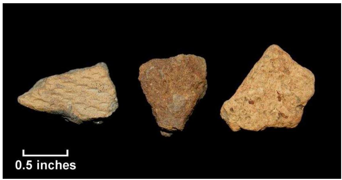 Figure 110. Native ceramics recovered from shovel test, Jordan Swamp I; l-r: Potomac Creek cord-marked (Lot 73); Potomac Creek (Lot 76); Mockley (Lot 43). |  surface (Figure 110). These fragments include a single body sherd each of Mockley net-impressed, Potomac Creek cord-marked, and Potomac Creek plain from the shovel tests. The surface-collected ceramic fragment appears to be Potomac Creek plain. The Mockley ceramic indicates that the Jordan Swamp | site was probably used during the Middle Woodland (200 AD-900 AD), while the Potomac Creek ceramics confirm the observations made by Barse, Eichinger, and Scheerer (2000). 