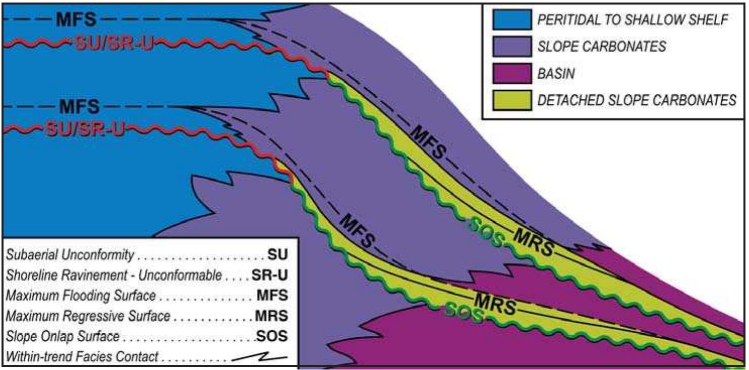 4. a schematic diagram showing the interpreted relationship
